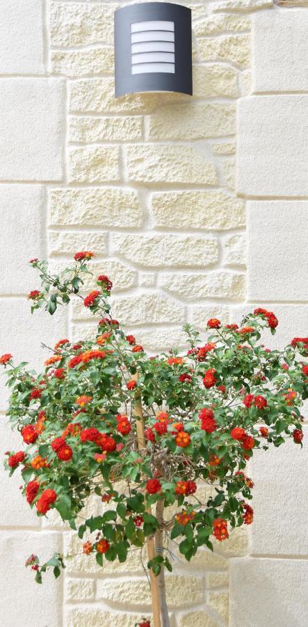 Bed and Breakfast L'atelier Saint-Maximin  Esterno foto