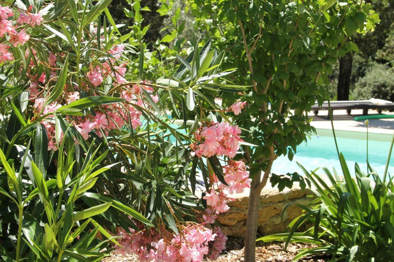 Bed and Breakfast L'atelier Saint-Maximin  Esterno foto