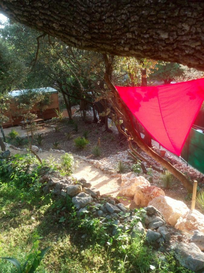 Bed and Breakfast L'atelier Saint-Maximin  Esterno foto
