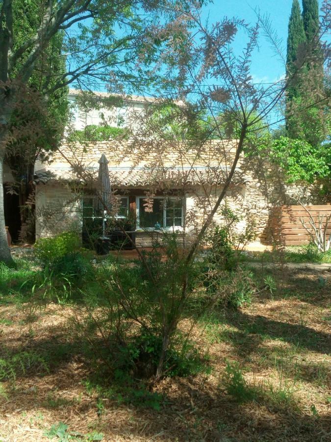 Bed and Breakfast L'atelier Saint-Maximin  Esterno foto