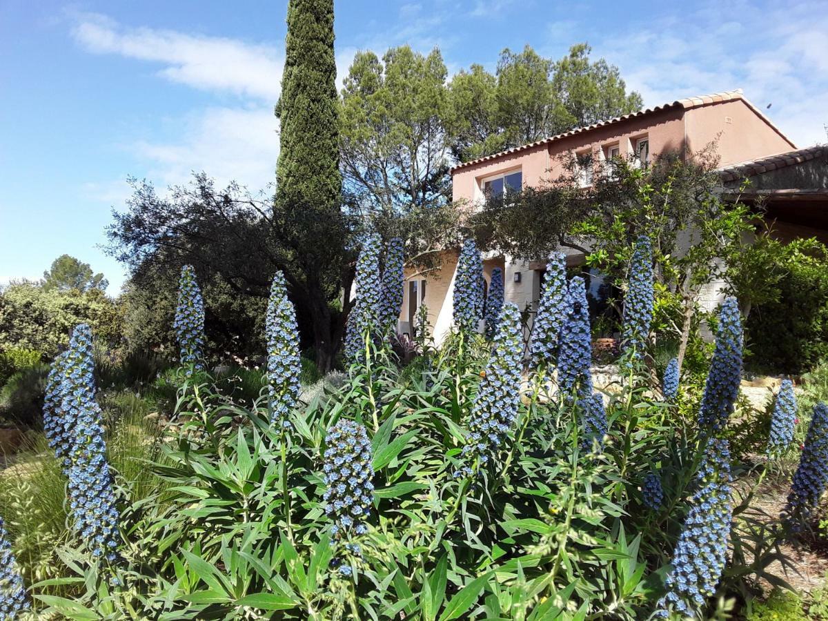 Bed and Breakfast L'atelier Saint-Maximin  Esterno foto